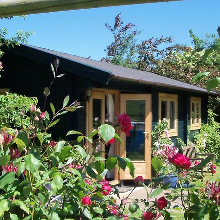 Pet Friendly - Hikers Paradise - South Facing Wells Ngoại thất bức ảnh